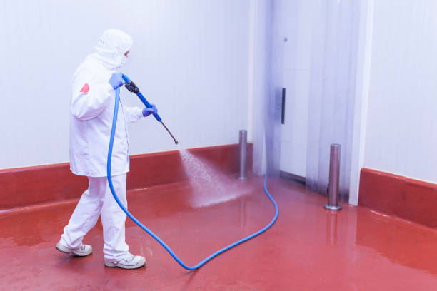 Best Pool Deck Cleaning  in Chetek, WI